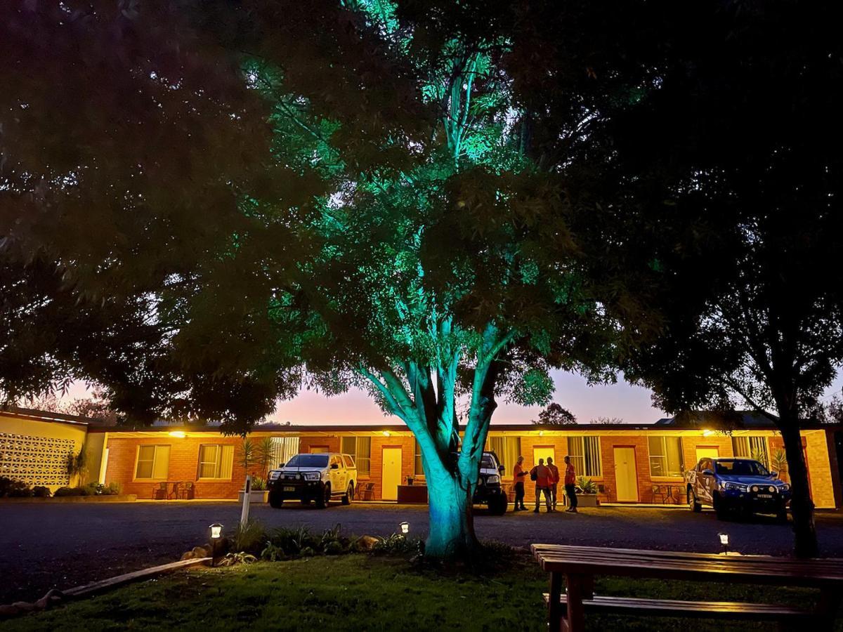 Quirindi Sunflower Motor Inn Extérieur photo
